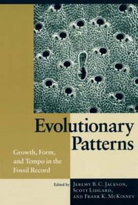 Produktbild: Evolutionary Patterns