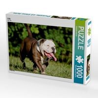 Produktbild: CALVENDO Puzzle Lilly | 1000 Teile Lege-Gr&ouml;&szlig;e 64x48cm Foto-Puzzle f&uuml;r gl&uuml;ckliche Stunden