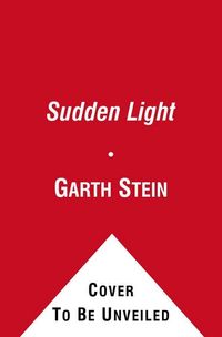 Produktbild: Stein, G: A Sudden Light