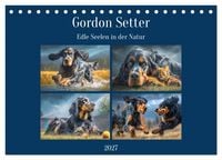 Produktbild: Gordon Setter. Edle Seelen in der Natur (Tischkalender 2027 DIN A5 quer), CALVENDO Monatskalender