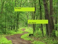 Produktbild: The Project