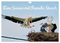Produktbild: Eine Saison mit Familie Storch (Wandkalender 2026 DIN A4 quer), CALVENDO Monatskalender