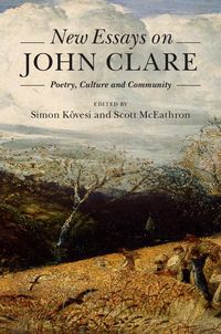 Produktbild: New Essays on John Clare