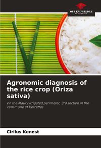 Produktbild: Agronomic diagnosis of the rice crop (Oriza sativa)
