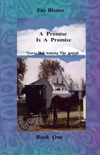 Produktbild: Promise Is A Promise-book 1-Nurse Hal Among The Amish