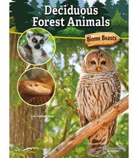 Produktbild: Deciduous Forest Animals
