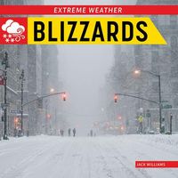 Produktbild: Blizzards