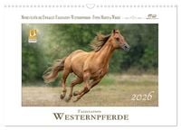 Produktbild: Faszination Westernpferde (Wandkalender 2026 DIN A3 quer), CALVENDO Monatskalender