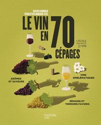 Produktbild: Le vin en 70 c&eacute;pages