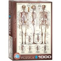 Bild vom Artikel Eurographics 6000-3970 - Das Skelett , Puzzle, 1.000 Teile vom Autor 