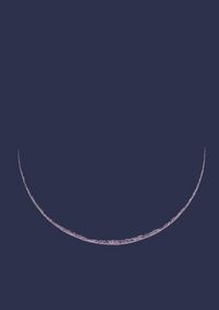 Produktbild: Notti. Cinque secoli di stelle, sogni, pleniluni