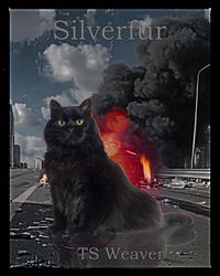 Produktbild: Silverfur