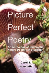 Produktbild: Picture Perfect Poetry