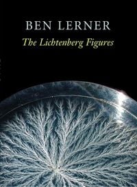 Produktbild: The Lichtenberg Figures