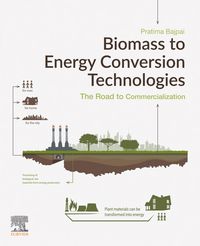 Produktbild: Biomass to Energy Conversion Technologies