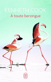 Produktbild: A toute berzingue