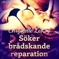 Produktbild: S&ouml;ker br&aring;dskande reparation - erotisk novell