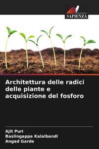Produktbild: Architettura delle radici delle piante e acquisizione del fosforo
