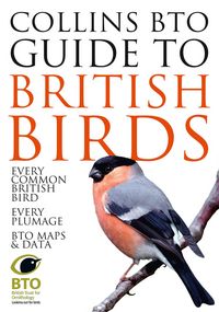 Produktbild: Stancliffe, P: Collins BTO Guide to British Birds