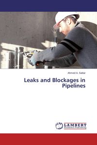 Produktbild: Leaks and Blockages in Pipelines