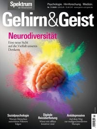Produktbild: Gehirn&Geist 11/2025 Neurodiversit&auml;t