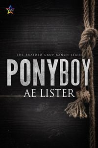 Produktbild: Ponyboy (The Braided Crop Ranch, #2)