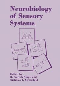 Produktbild: Neurobiology of Sensory Systems