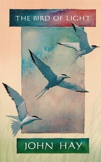 Produktbild: The Bird of Light