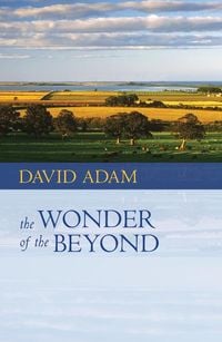 Produktbild: Wonder of the Beyond, The