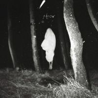 Produktbild: Flood Of Red: Throw (Special Edt.Digi)