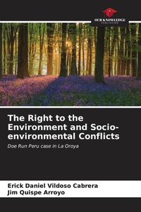 Produktbild: The Right to the Environment and Socio-environmental Conflicts