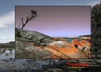 Produktbild: Tasmania