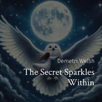Produktbild: The Secret Sparkles Within