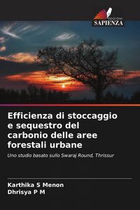 Produktbild: Efficienza di stoccaggio e sequestro del carbonio delle aree forestali urbane