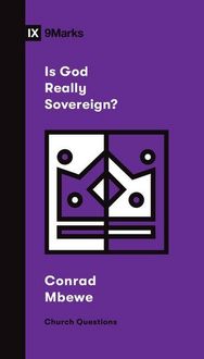 Produktbild: Is God Really Sovereign?