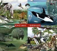 Produktbild: Encima y debajo