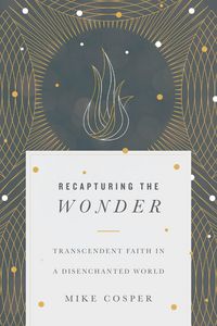 Produktbild: Recapturing the Wonder