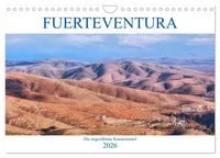 Produktbild: Fuerteventura, die ungez&auml;hmte Kanareninsel (Wandkalender 2026 DIN A4 quer), CALVENDO Monatskalender