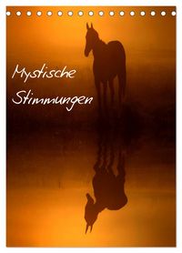Produktbild: Mystische Stimmungen (Tischkalender 2026 DIN A5 hoch), CALVENDO Monatskalender