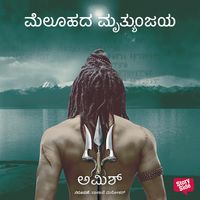 Produktbild: Meluhada Mruthyunjaya