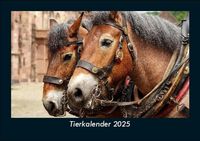 Produktbild: Tierkalender 2025 Fotokalender DIN A5