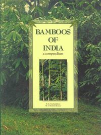 Produktbild: Bamboos of India