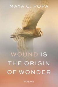 Produktbild: Wound Is the Origin of Wonder