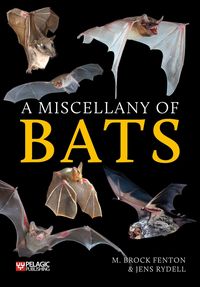 Produktbild: A Miscellany of Bats