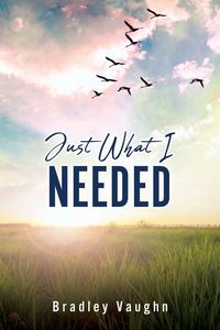 Produktbild: Just What I Needed