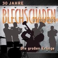 Produktbild: Die gro&aacute;en Erfolge-30 Jahre