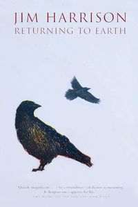 Produktbild: Returning to Earth