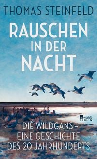 Produktbild: Rauschen in der Nacht