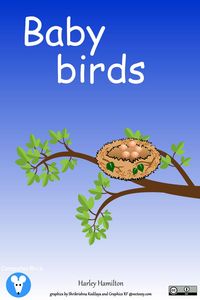 Produktbild: Baby Birds