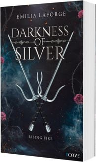 Produktbild: Darkness of Silver 2: Rising Fire